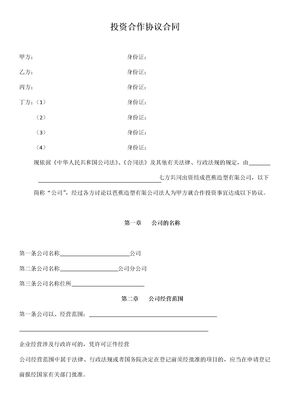 投资合作合同.docx