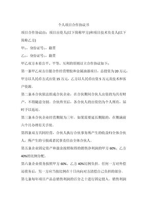 个人项目合作协议书