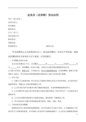 业务员(试用期)劳动合同